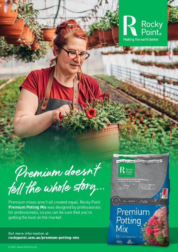 Buy best bamboo. Buy potting mix for clumping bamboo in pots.
