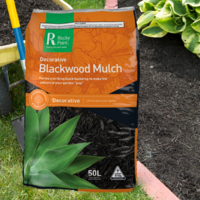 Bamboo plants need mulch, especially clumping bamboo in pots.