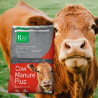 Cow manure for clumping bamboo plants.
