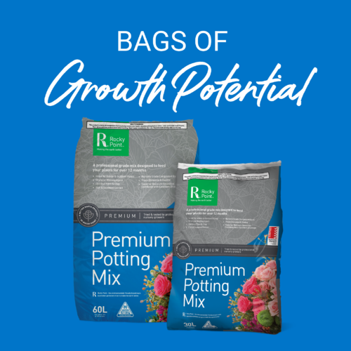 Premium Potting Mix