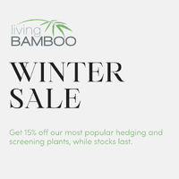 Winter Sale - June 2025