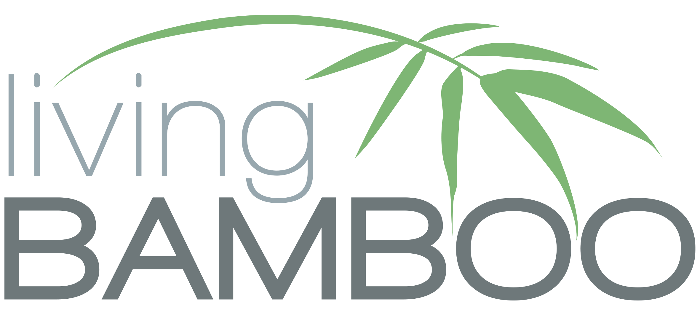 Living Bamboo